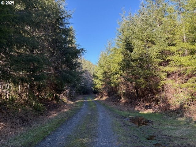 Other - Steer Creek Rd, Blodgett, OR