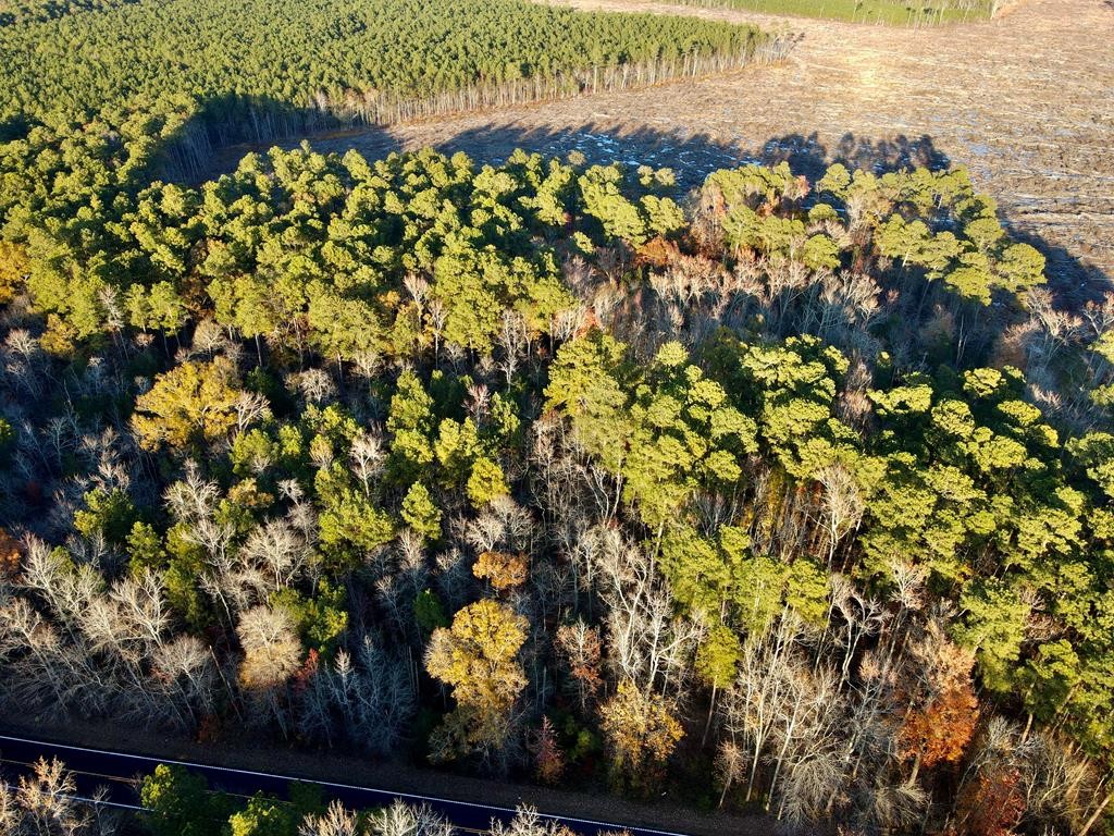 Lot 96 Northumberland Hwy  