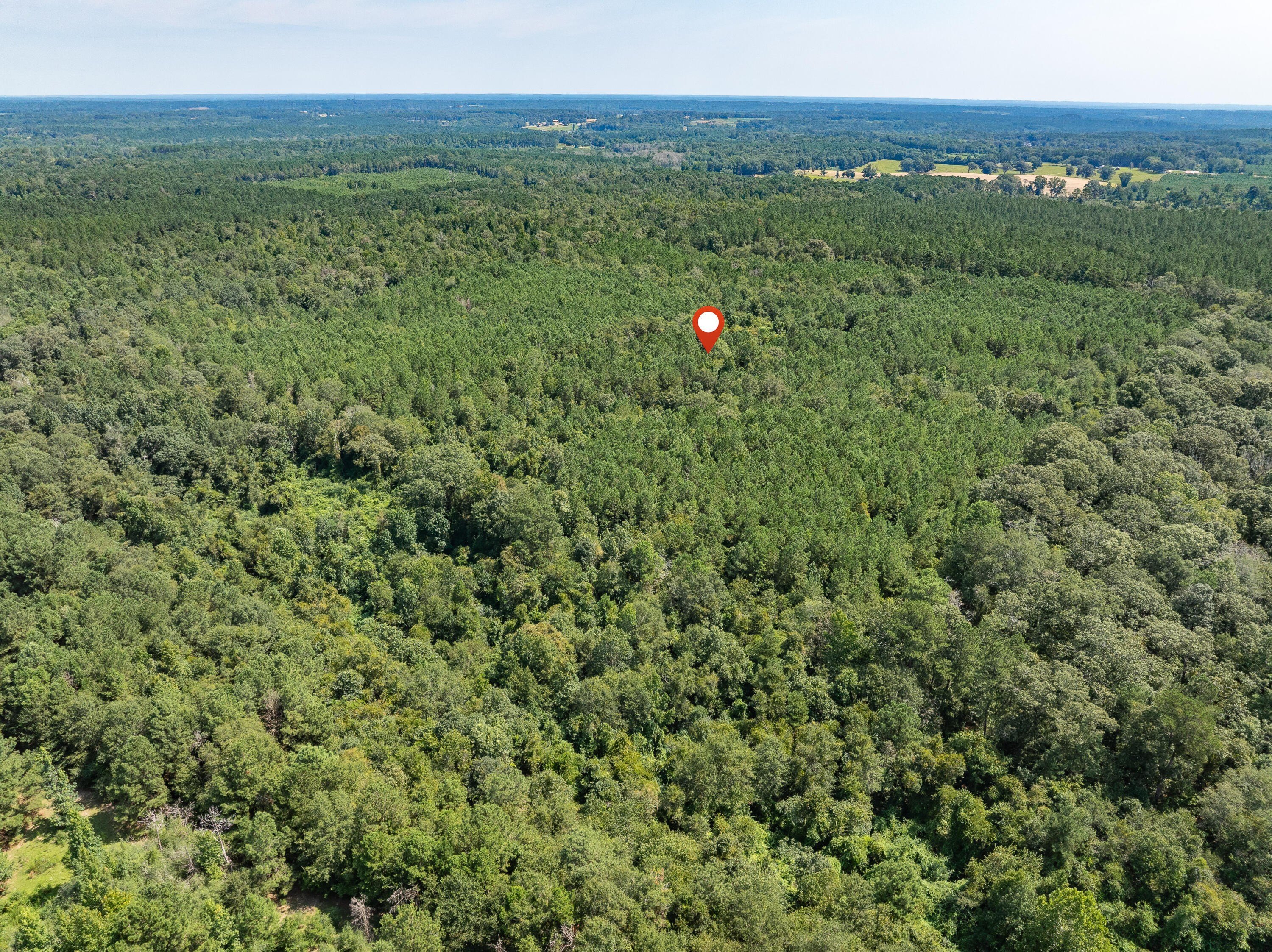 Plots and Land - 40 Acres Hwy 588, Collins, MS