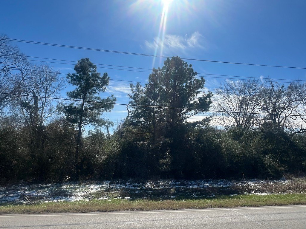 Plots and Land - 863 Highway 159 West, Bellville, TX