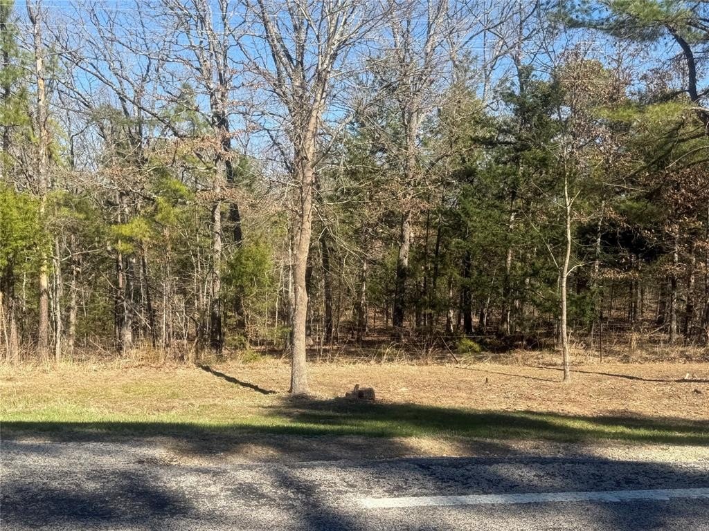Other - 01 Fm-906 W, Powderly, TX