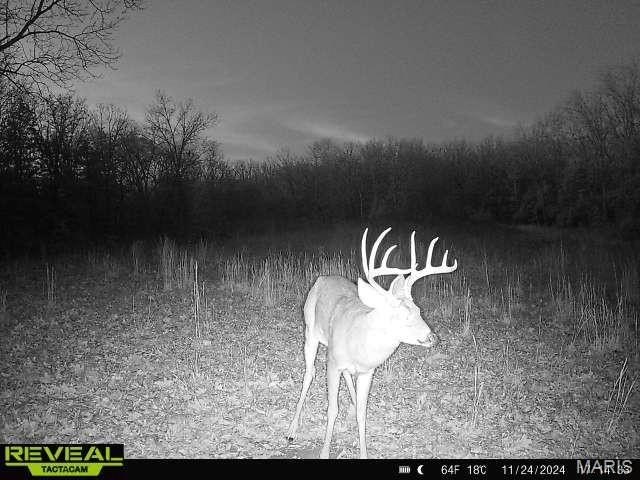 Other - Lot 1b Short Road, Blackwell, MO