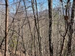 Other - Lot 31 Hidden Summit Road, Hiawassee, GA