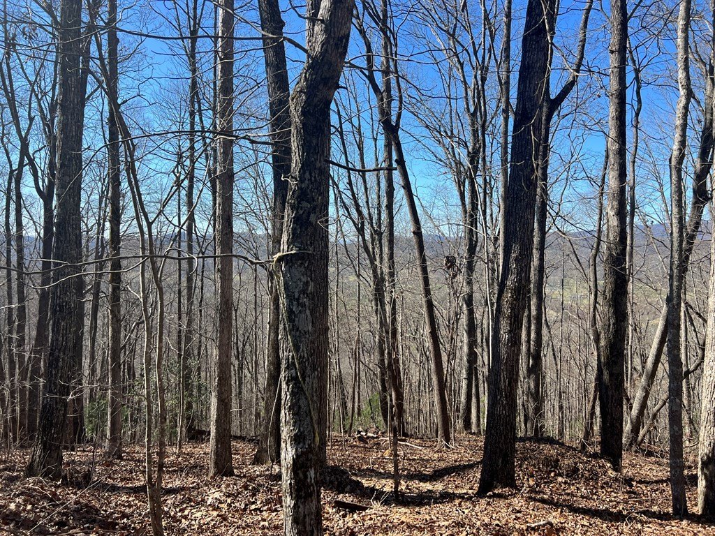 Other - Lots 7&8 Wikle Road, Hayesville, NC