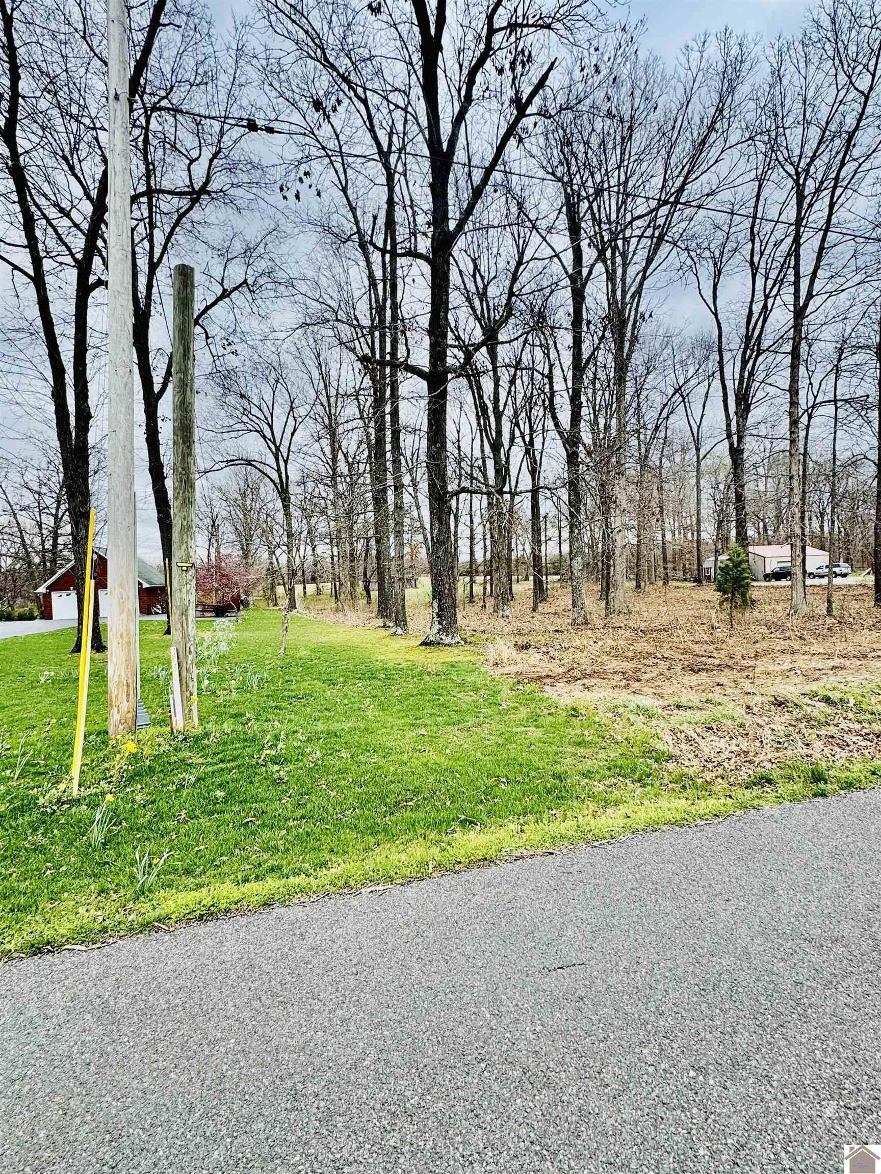 Other - 00 Bill Butler Rd, Hardin, KY