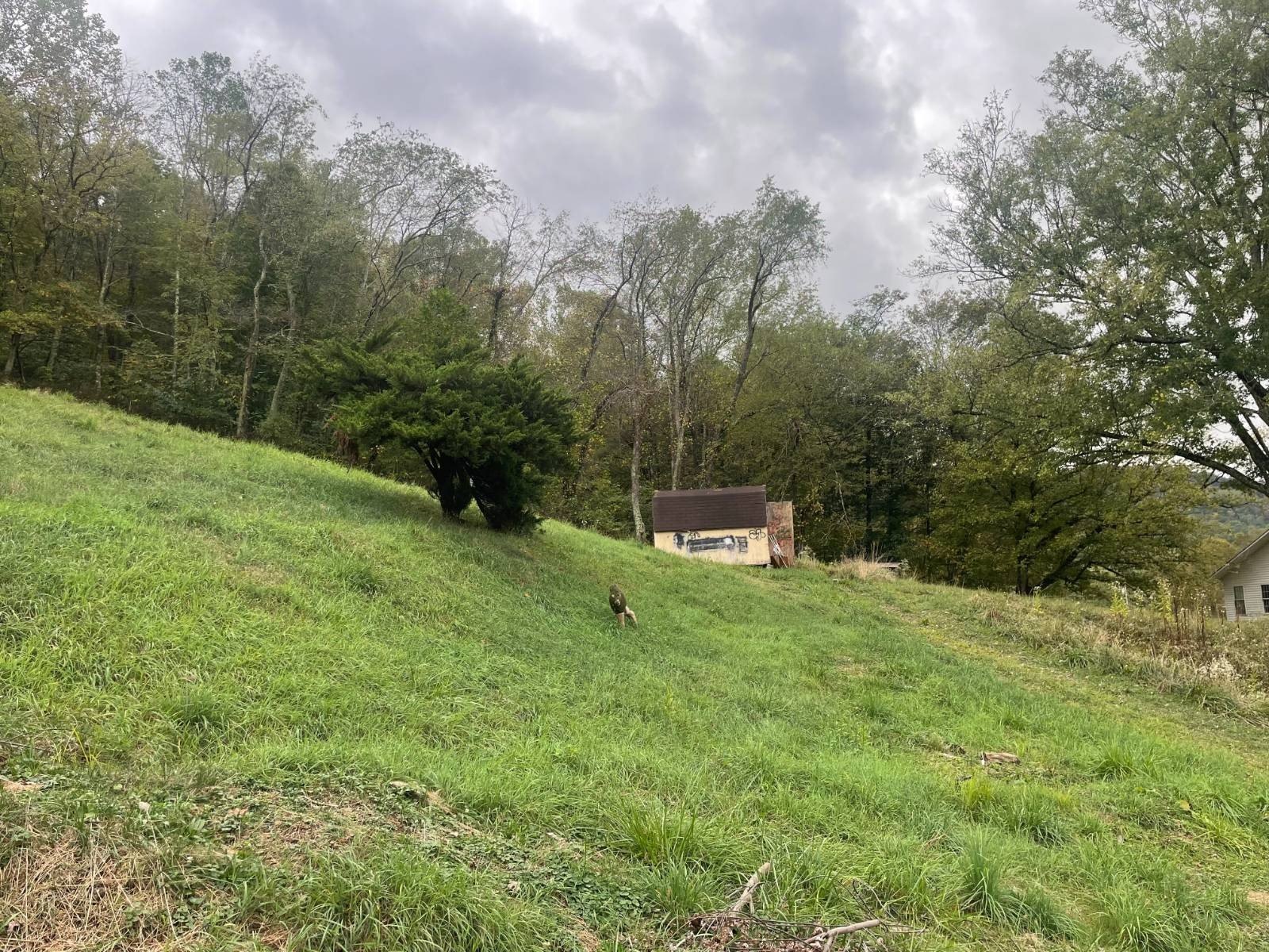 Single Family 4BR 1BA - 436 Depot St, Burnsville, WV