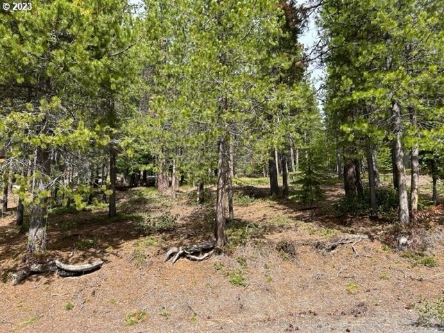 Other - 43 Clear Spring Way, Crescent Lake, OR