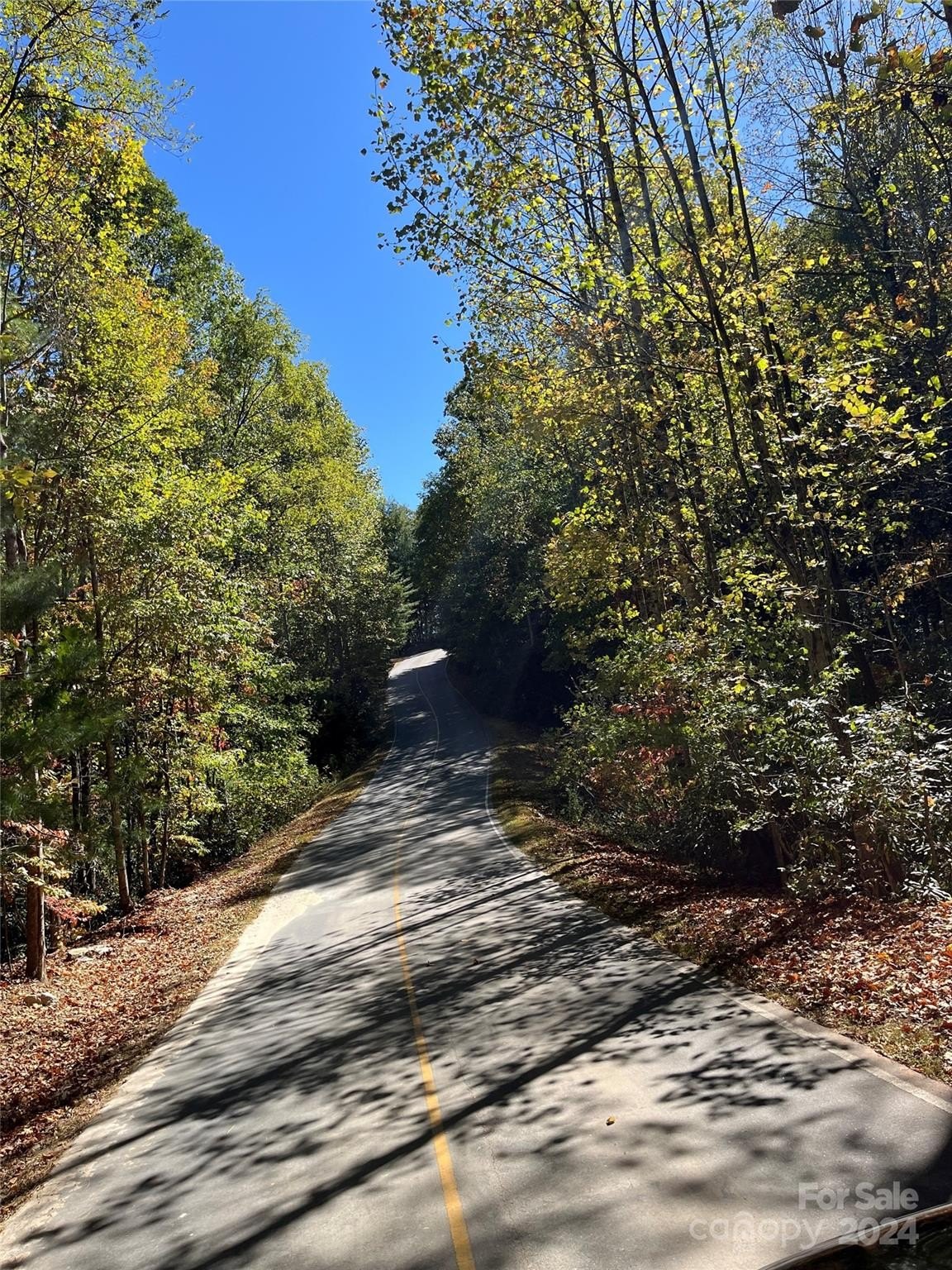 Other - 103 CHESTNUT Way, Flat Rock, NC