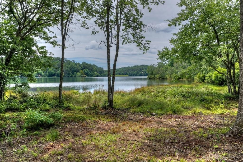 Other - Campbell Cove Road lot: 204 & 205, Turtletown, TN