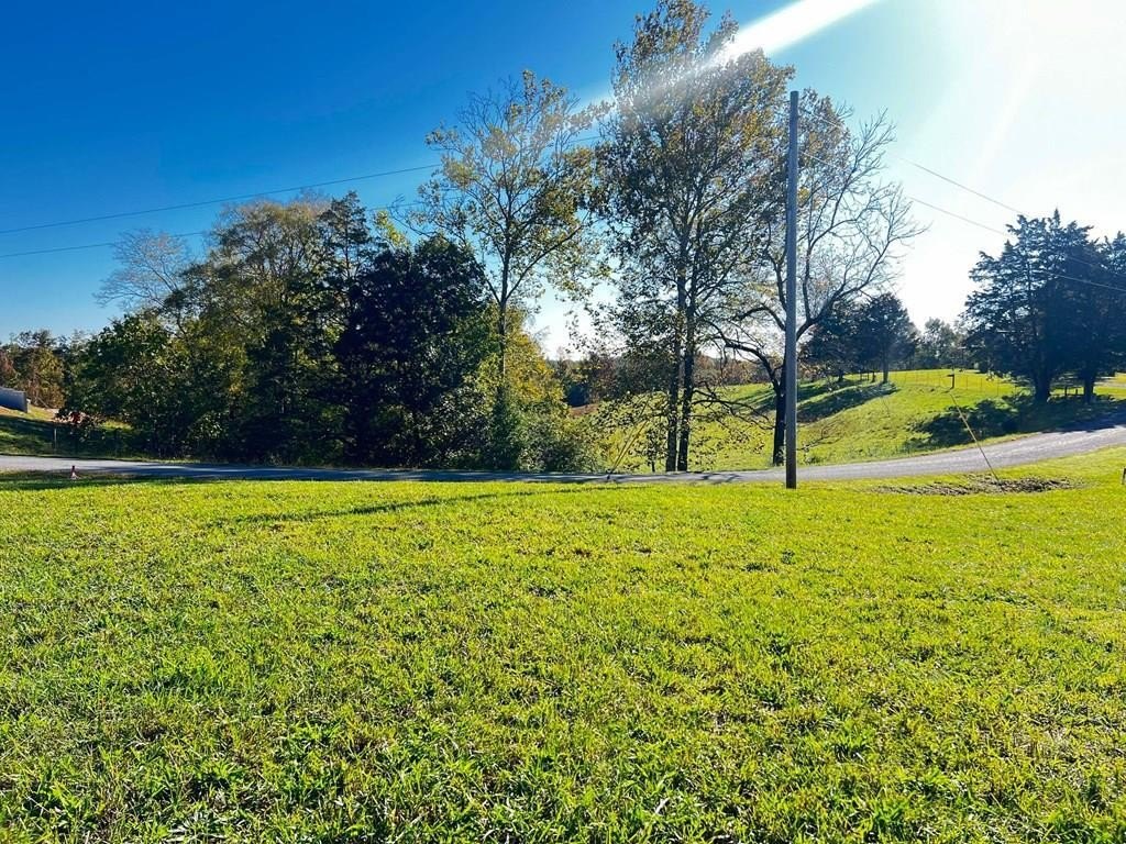 Other - Goff Ridge Rd. lot: 3, Baxter, TN