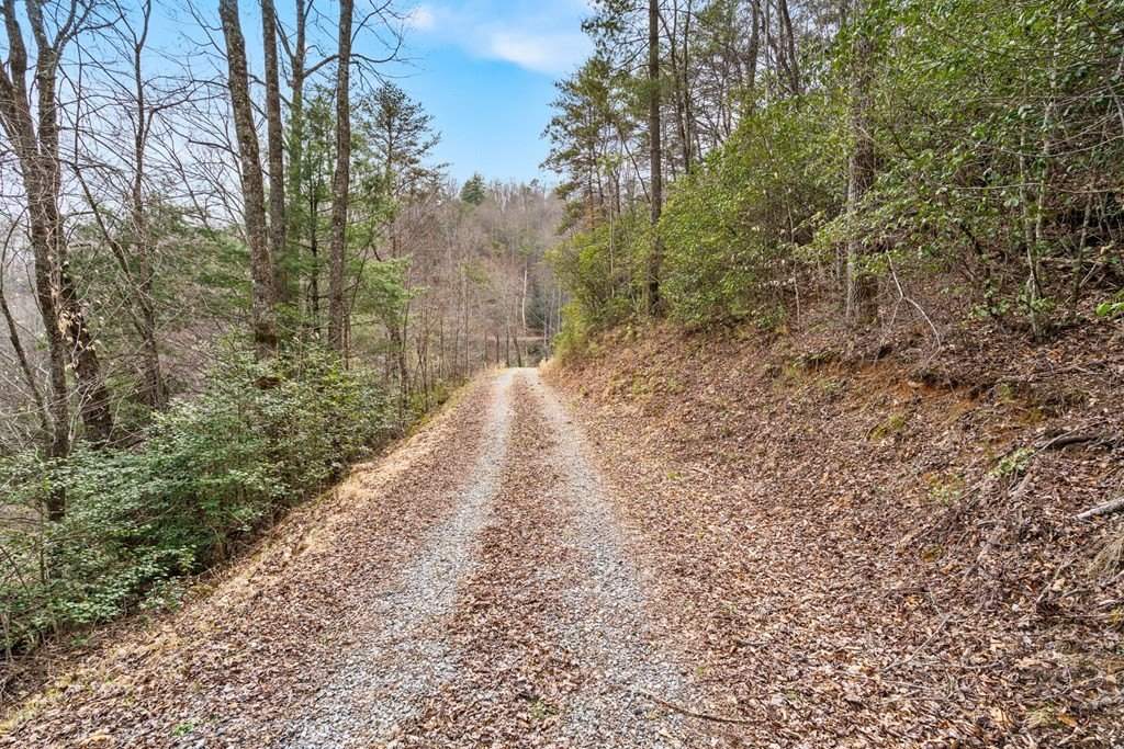 Single Family 2BR 2BA - 145 Raymond Wilson Rd., TOPTON, NC