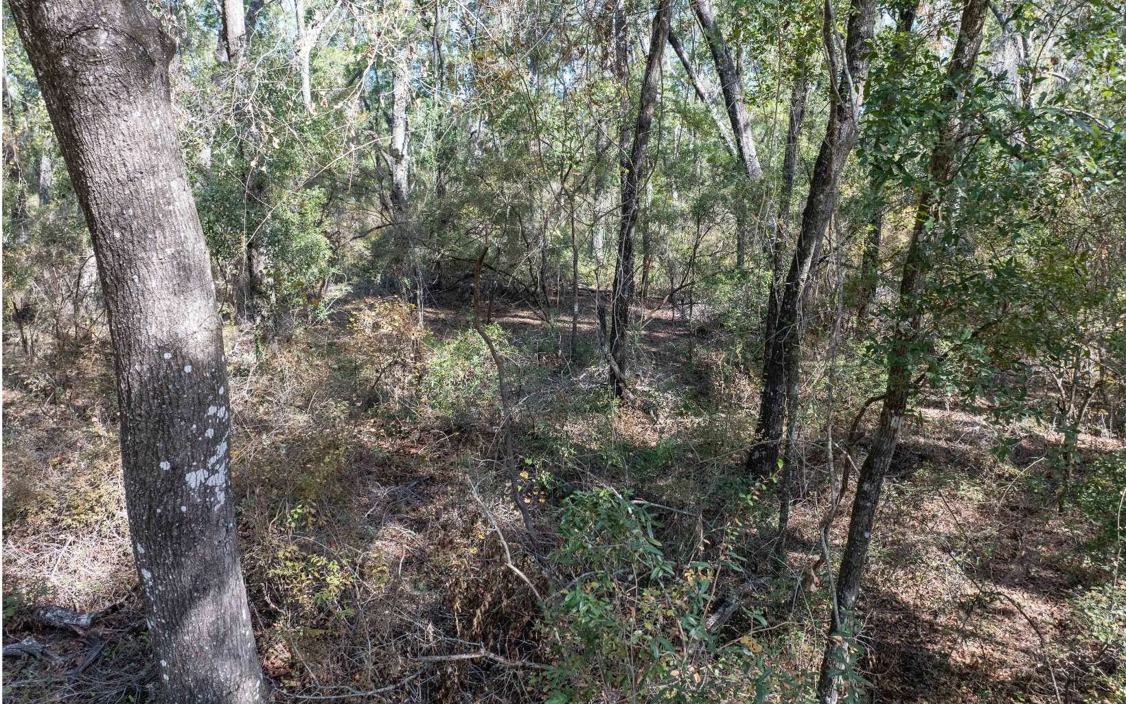 Other - TBD CR 349, OBrien, FL