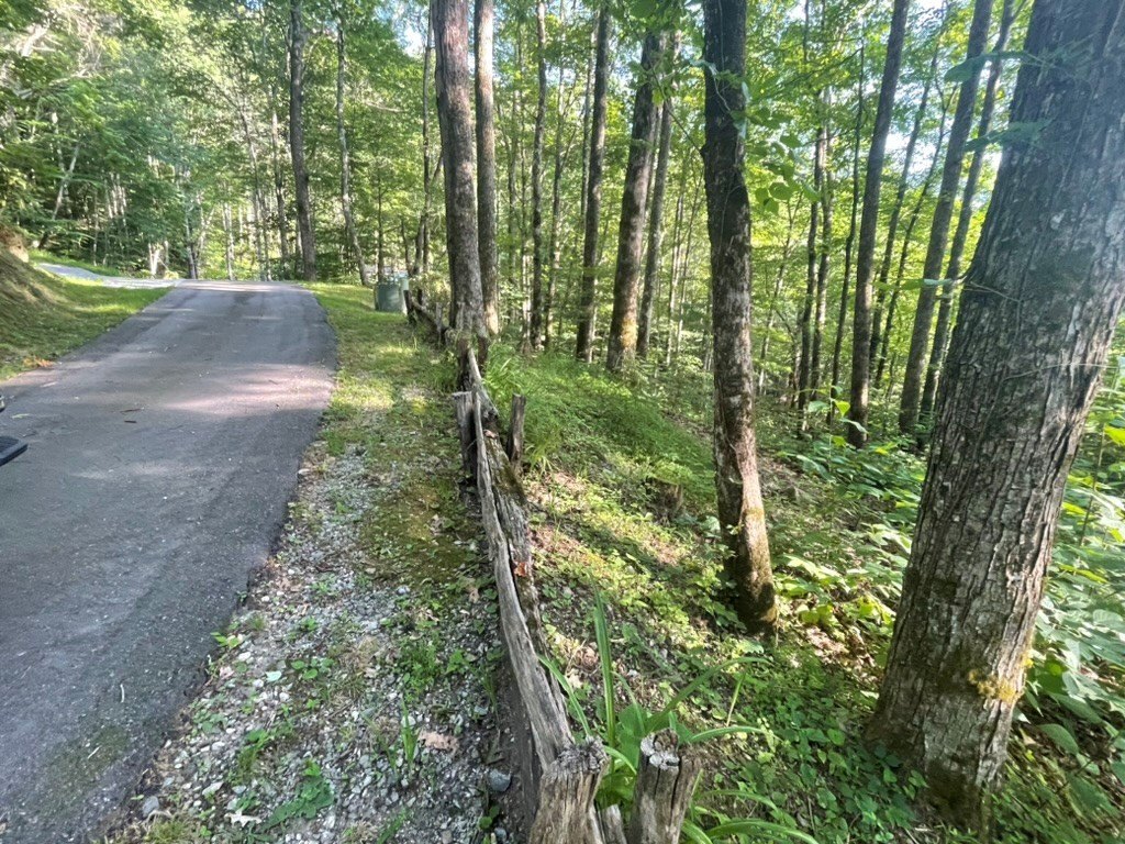 Other - Von Trapp lot: 13, Tuckasegee, NC