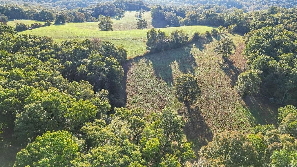 Single Family 3BR 2BA - 253 Raven Tract A Road, Noel, MO