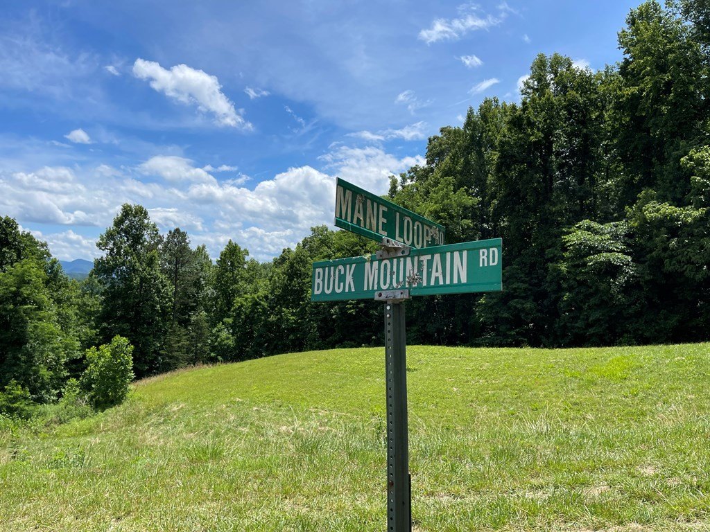 Other - 530 Mane Loop Road lot: 11, Franklin, NC