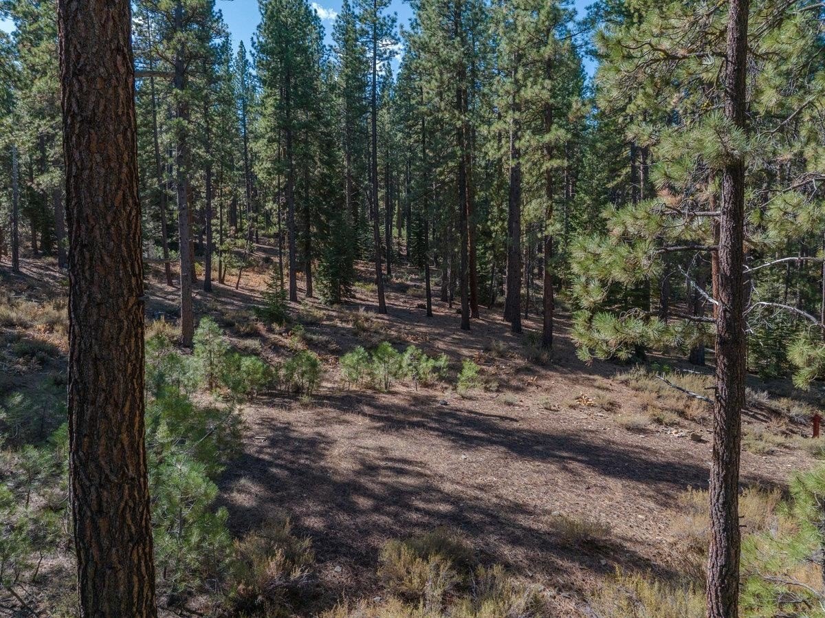 Other - 10794 Regency Circle, Truckee, CA