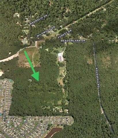 Other - +/- 48.18 acres MEADOWLARK Drive lot: 3S, Covington, LA