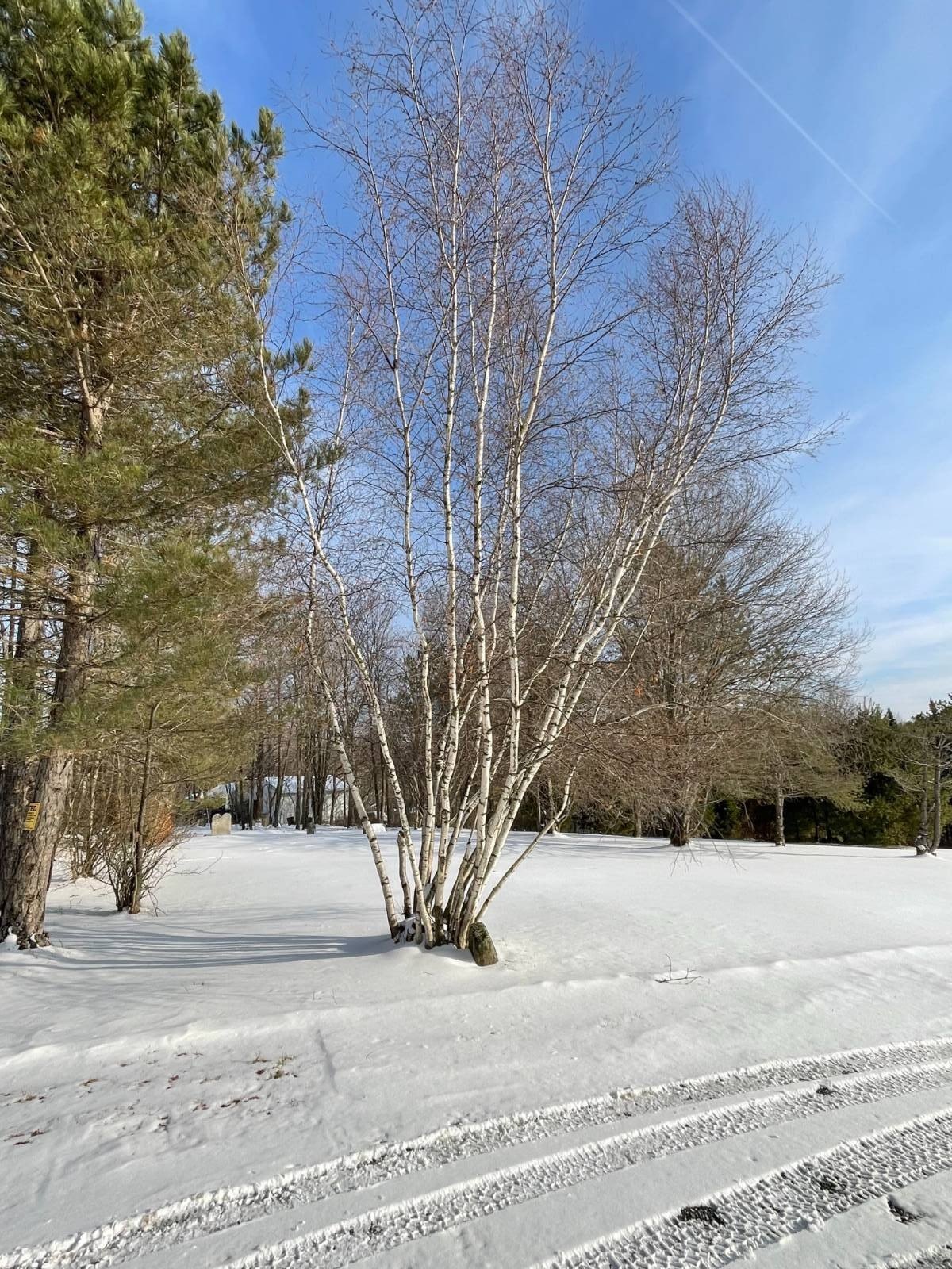 Single Family 3BR 2BA - 382 Old Rd, Cropseyville, NY