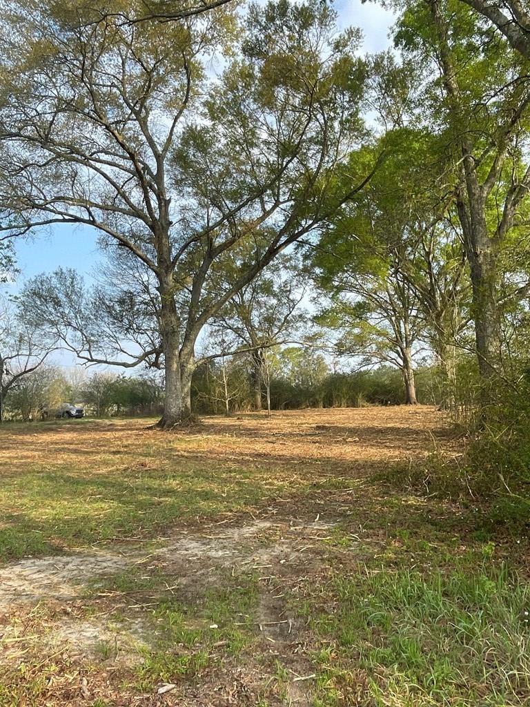 Other - 0 Buck Kirkland Rd, Poplarville, MS