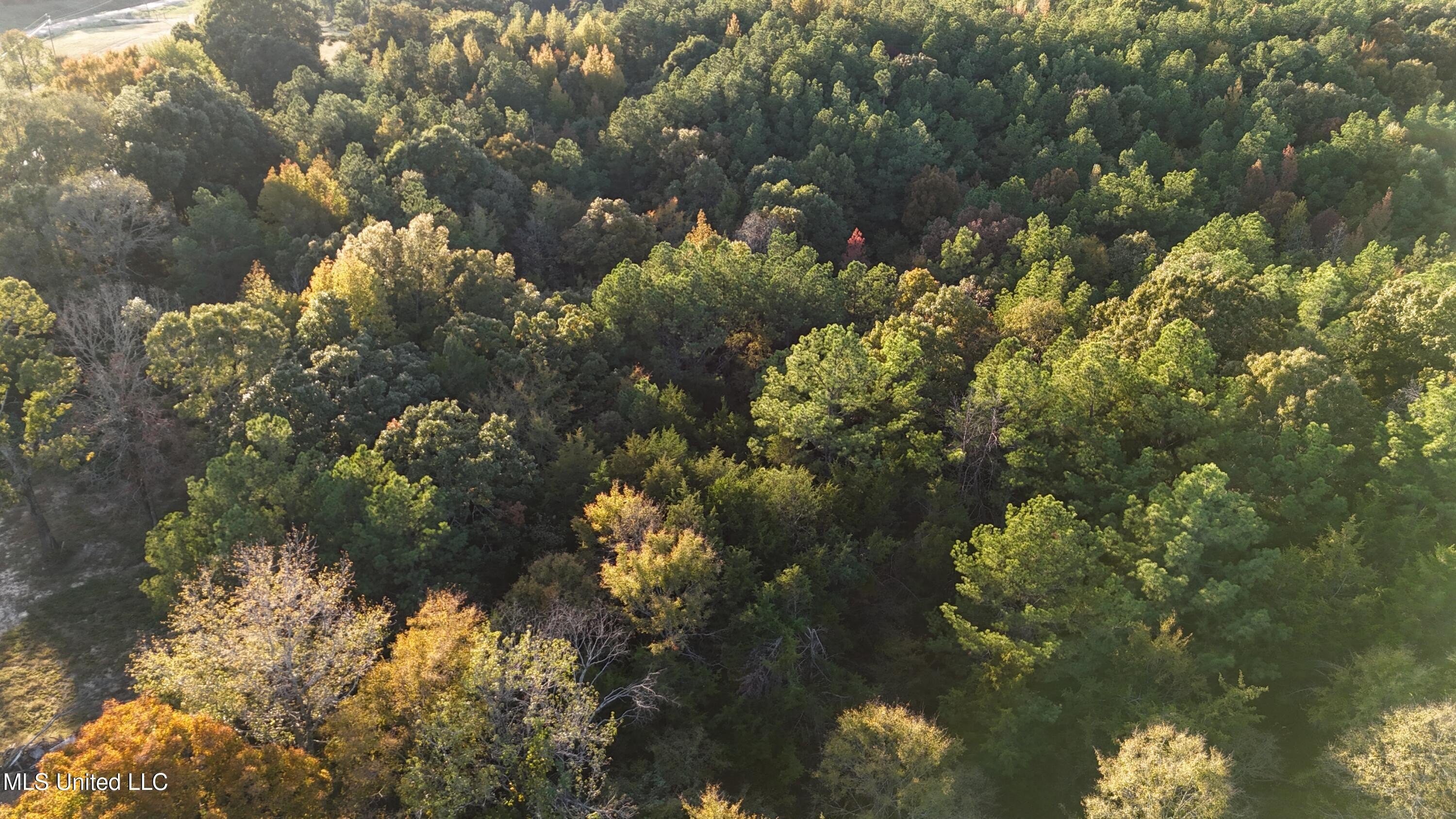 Single Family - 2 Tyro Branch Cove lot: 2, Senatobia, MS
