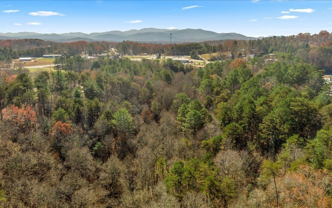 Other - Lakewood Hwy, Mineral Bluff, GA