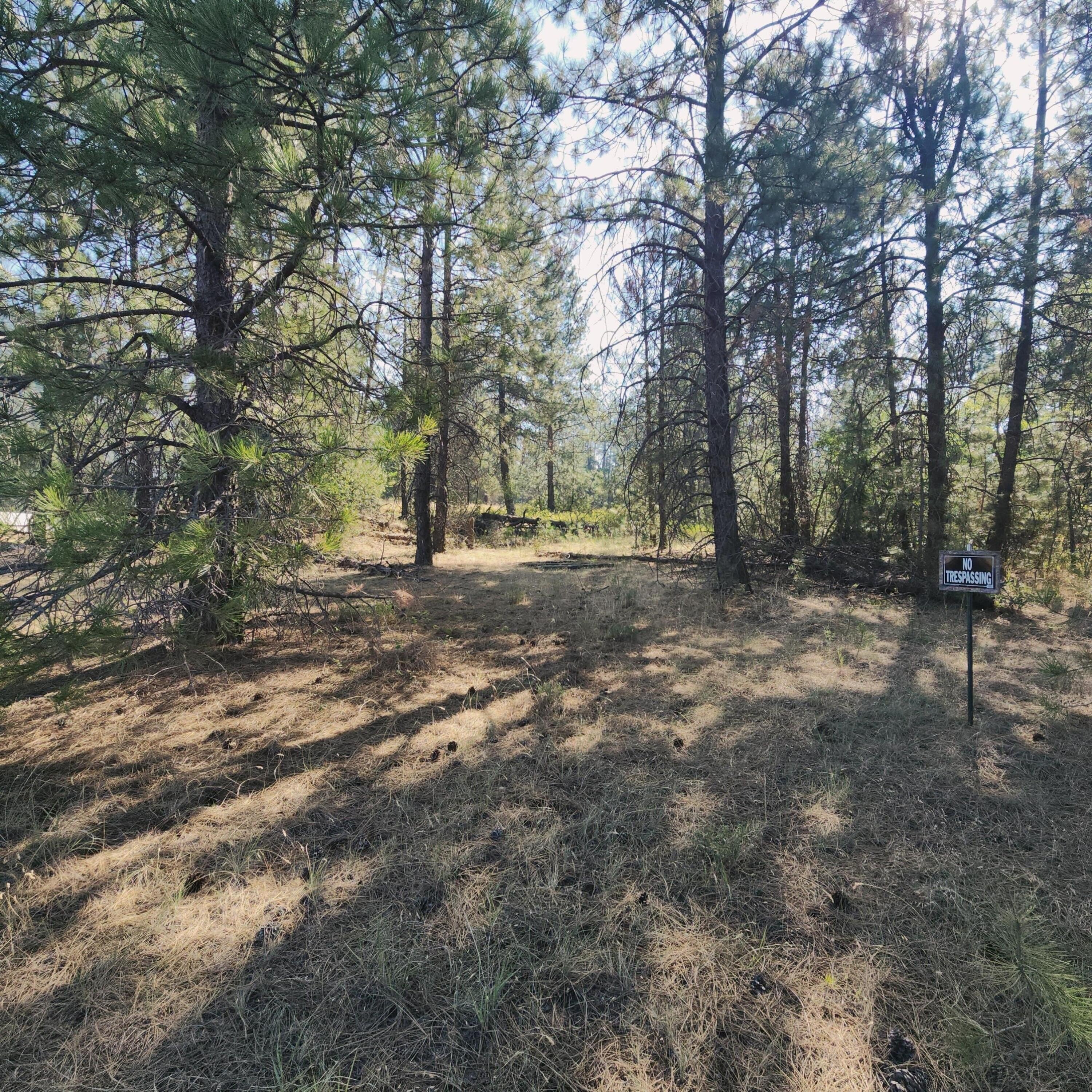 Other - XXX HWY 395, KETTLE FALLS, WA