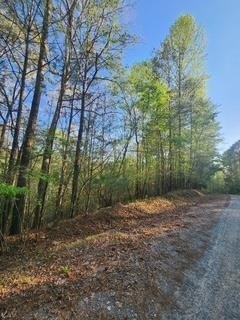 Other - Lt3646-R Fern Drive lot: 3646-R, Ellijay, GA