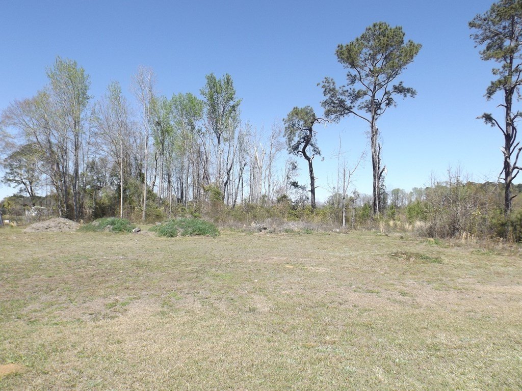 Other - Governor Richardson Road, Summerton, SC
