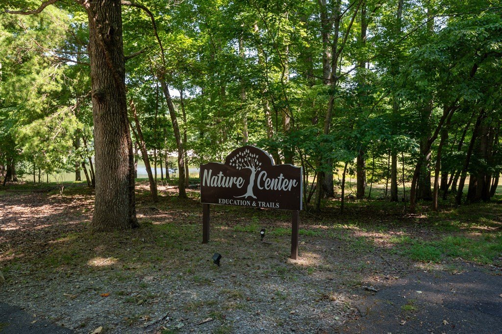 Other - Sassafras Court, Jasper, GA