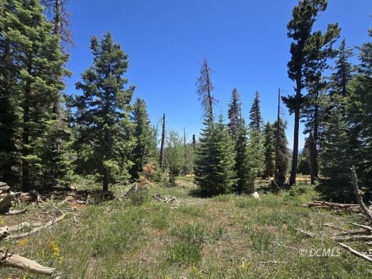 Other - 5720 W North Fork Rd, Duck Creek Village, UT