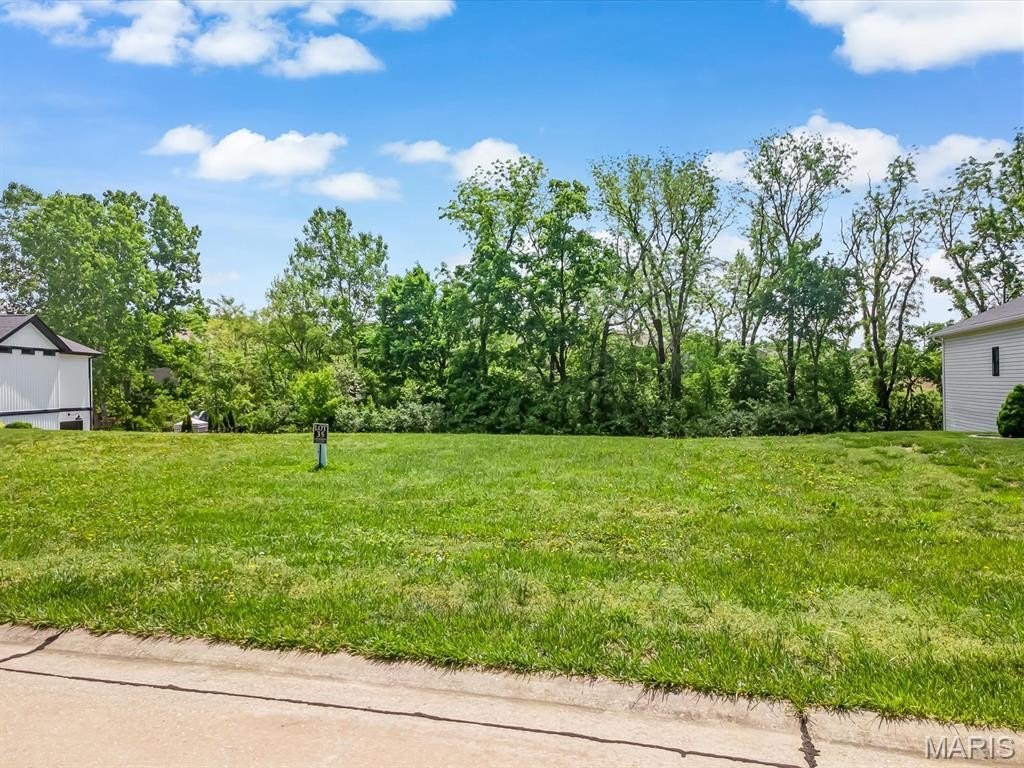 Other - 1004 Oak Creek Lane, Waterloo, IL