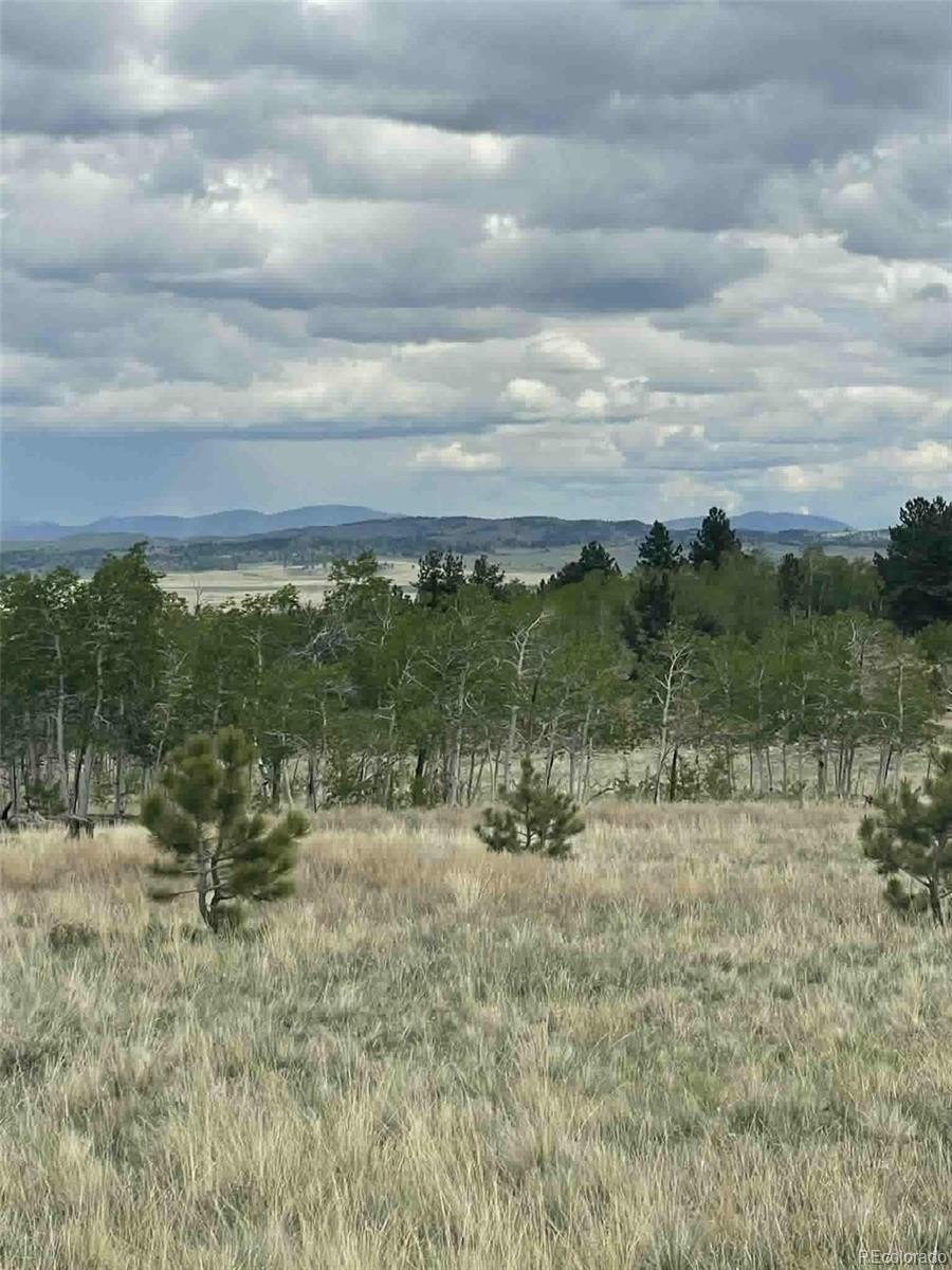 Plots and Land - 187 Angus Circle, Hartsel, CO