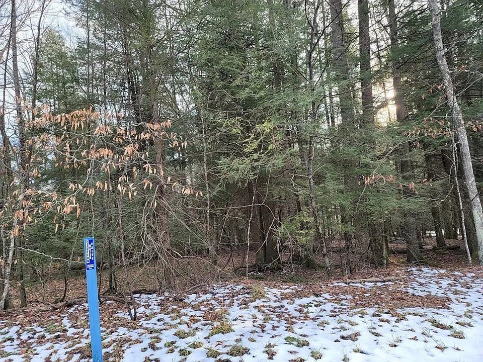 Other - 3088 Pluto Rd, SHADY SPRING, WV