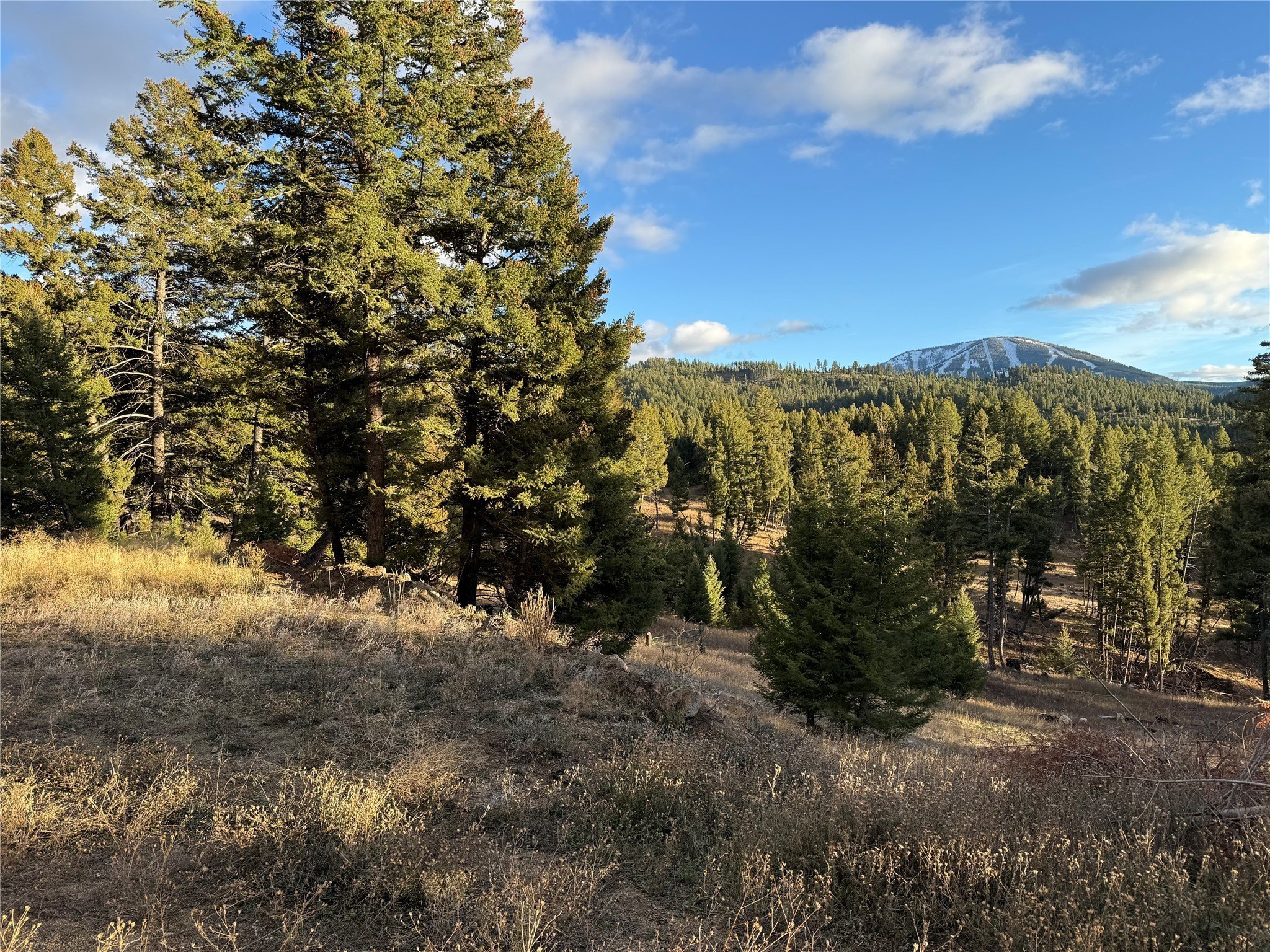 Plots and Land - Lot 4 Scranton Lode, Philipsburg, MT