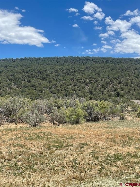 Other - 745 SE Pinyon Street, Cedaredge, CO