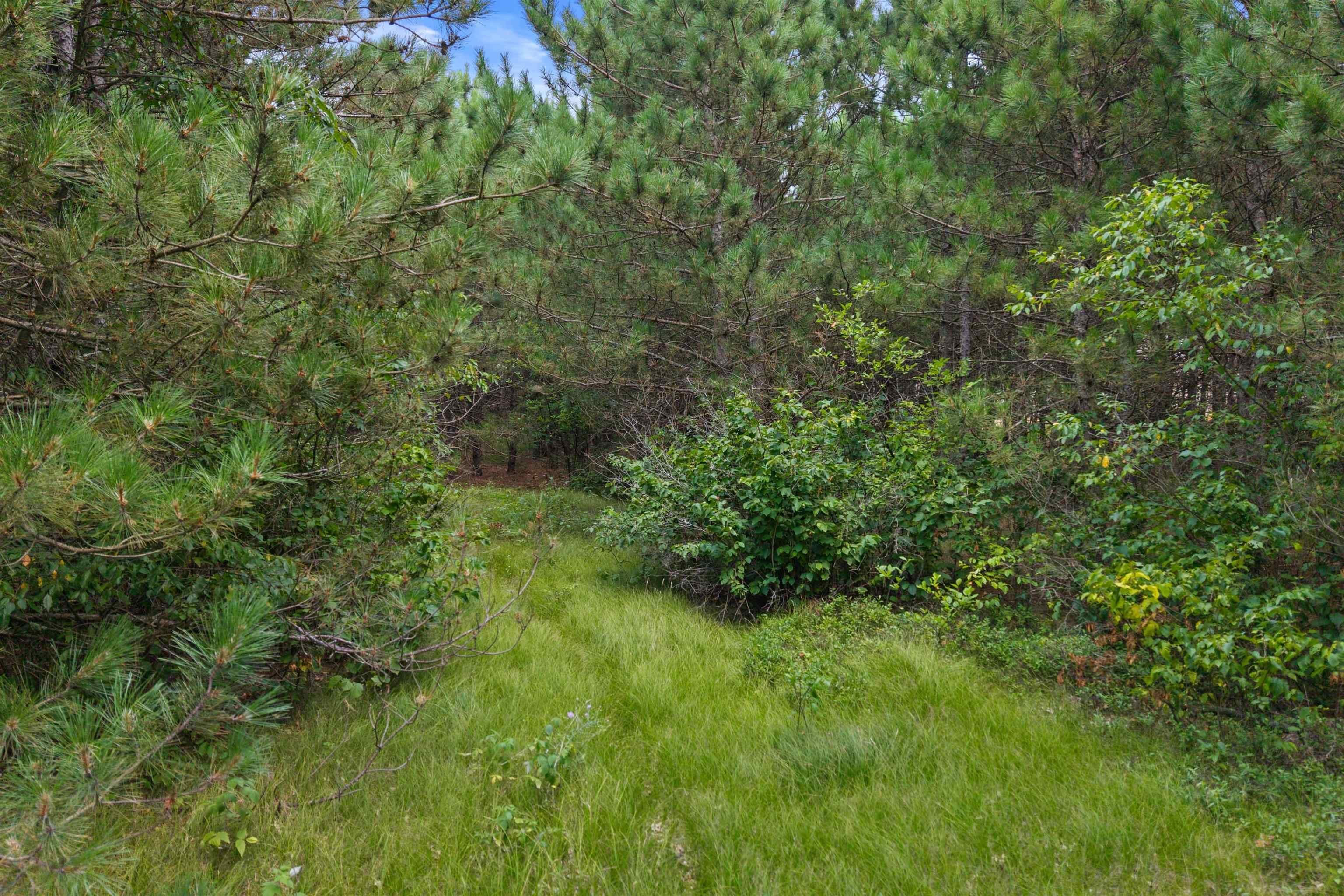 Other - Lot 56 Big Bay Road, Necedah, WI
