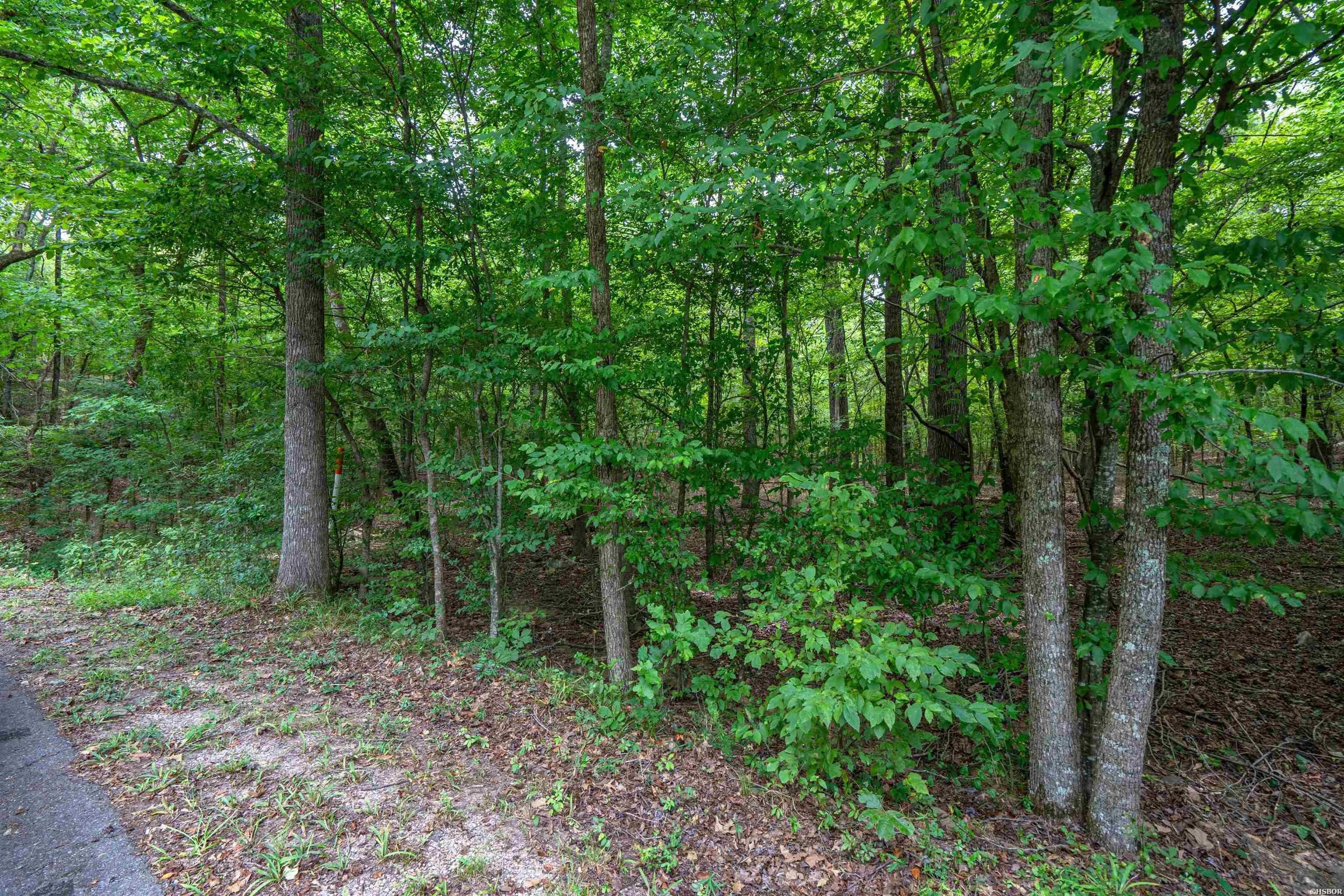 Single Family - Lot 20 DEER RUN, Malvern, AR