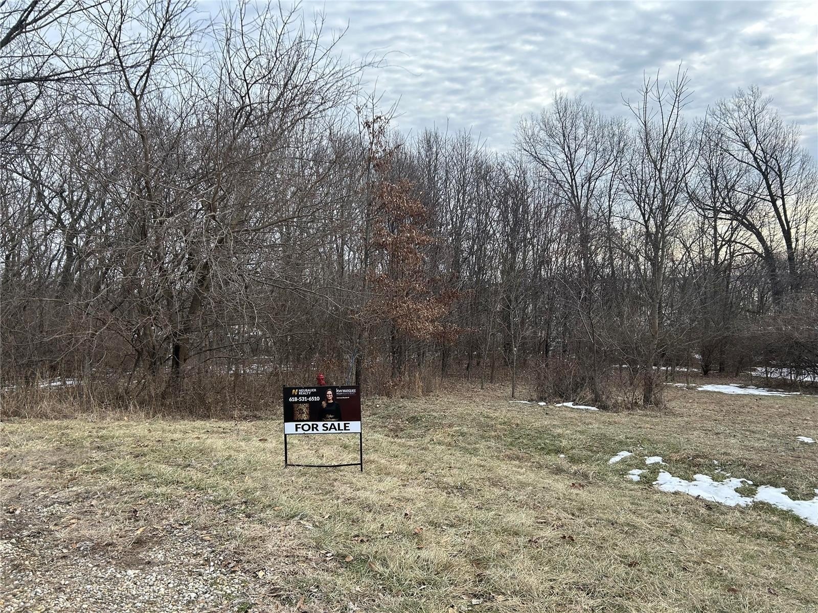 Other - 19580 Hillcrest DR, Carlyle, IL
