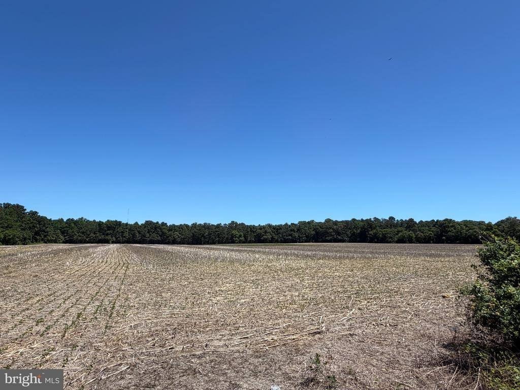 Other - 29199 Cordrey Road, Millsboro, DE