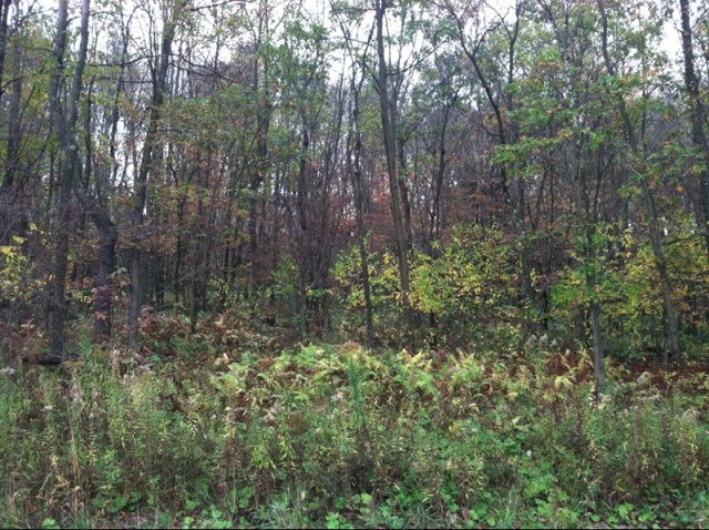 Other - 75 Shelby Lane, Shippenville, PA
