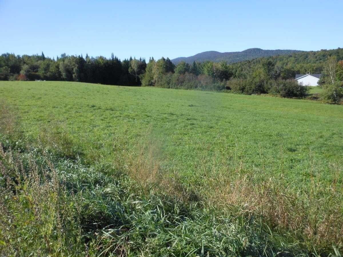 Other - 0000 VT. Route 12, Elmore, VT