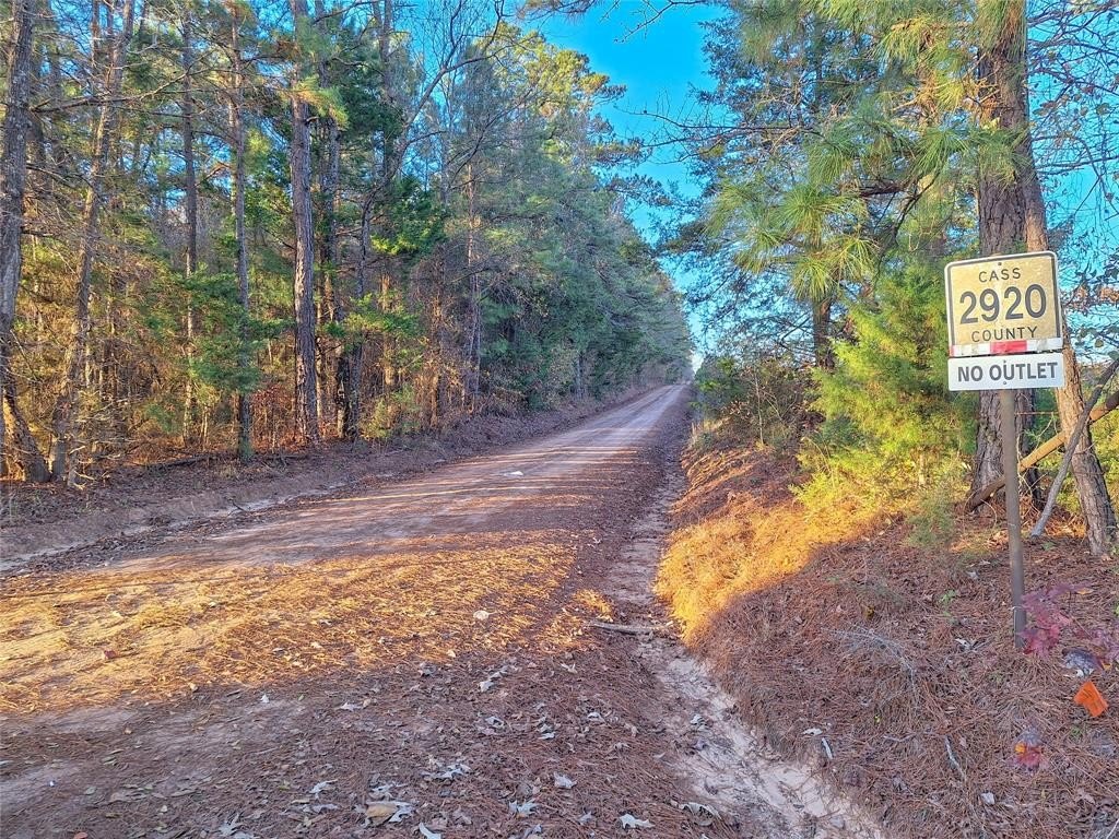 Plots and Land - Tbd County Road 2920, Hughes Springs, TX
