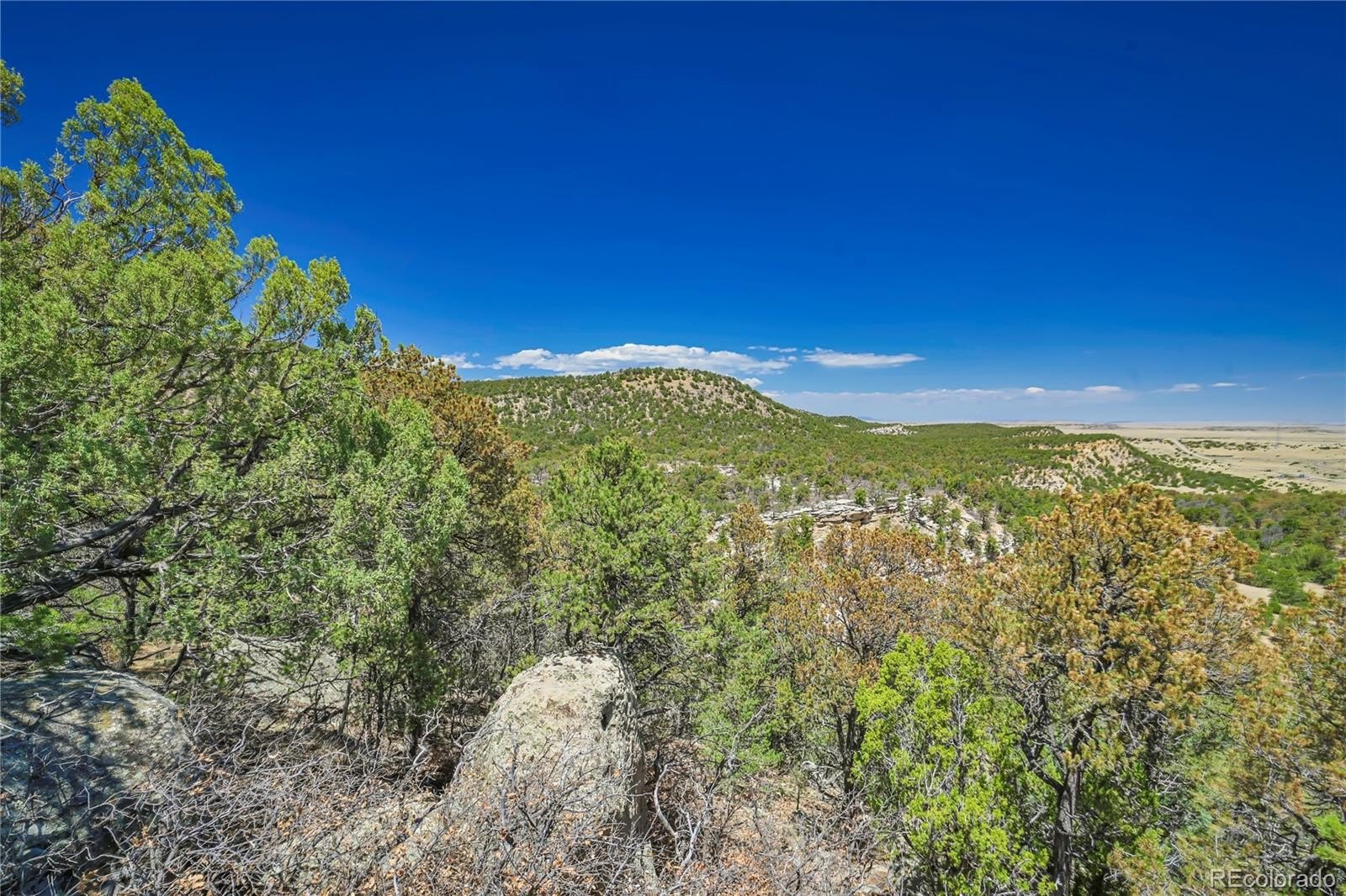 Plots and Land - Rikki Rowdy Place, Aguilar, CO