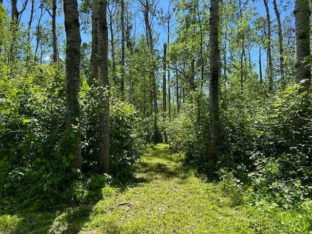 Other - Lot 16 Hartley Shores Road, BOTTINEAU, ND