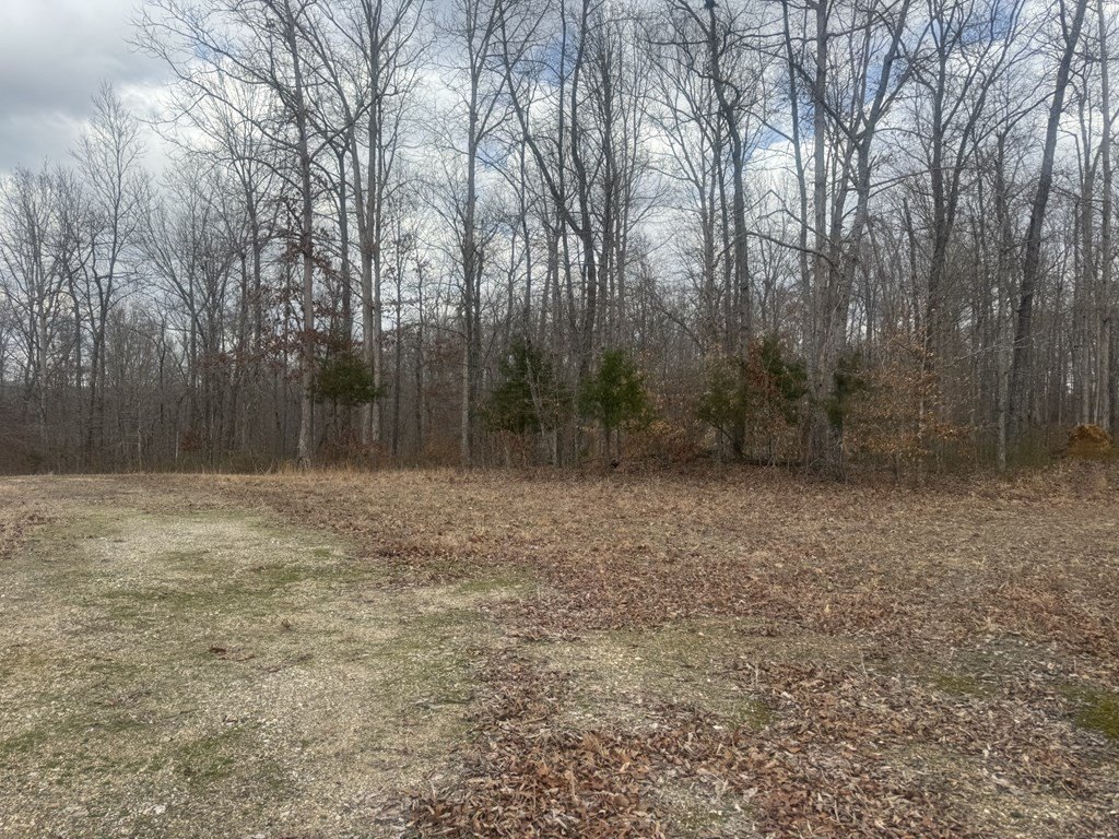 Other - 323 Graham Rd, CUMBERLAND CITY, TN
