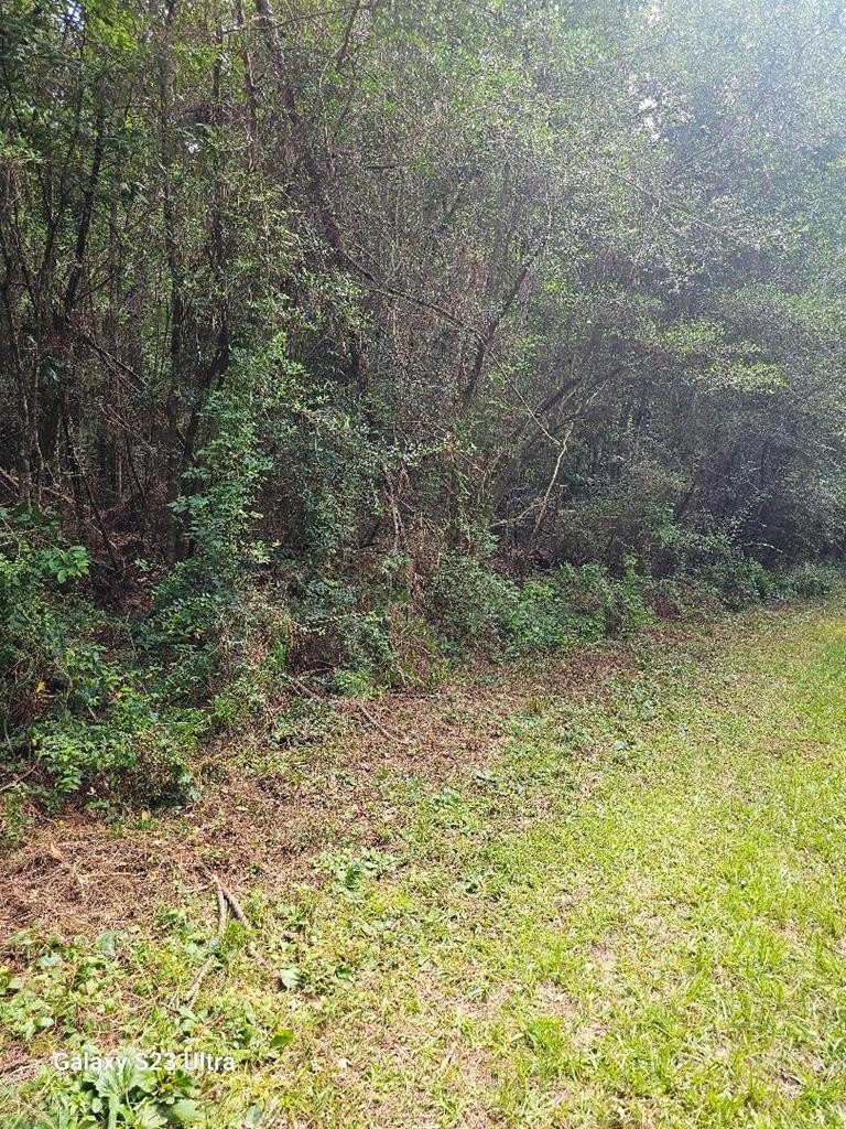 Other - Lot 150 Glendale Drive, Lumberton, MS