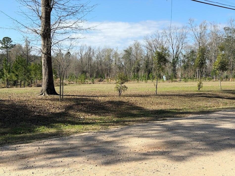 Single Family - 0 Mimosa Drive, Dothan, AL
