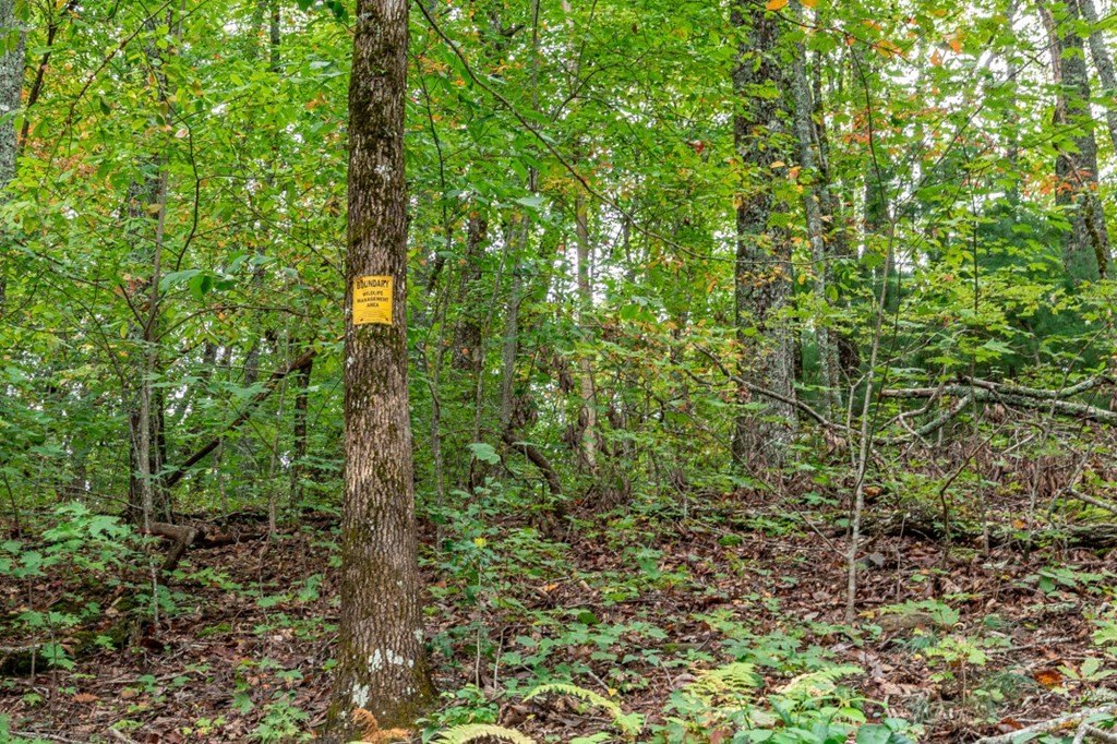 Other - Lot 20 Buckhead Hills, Hiawassee, GA