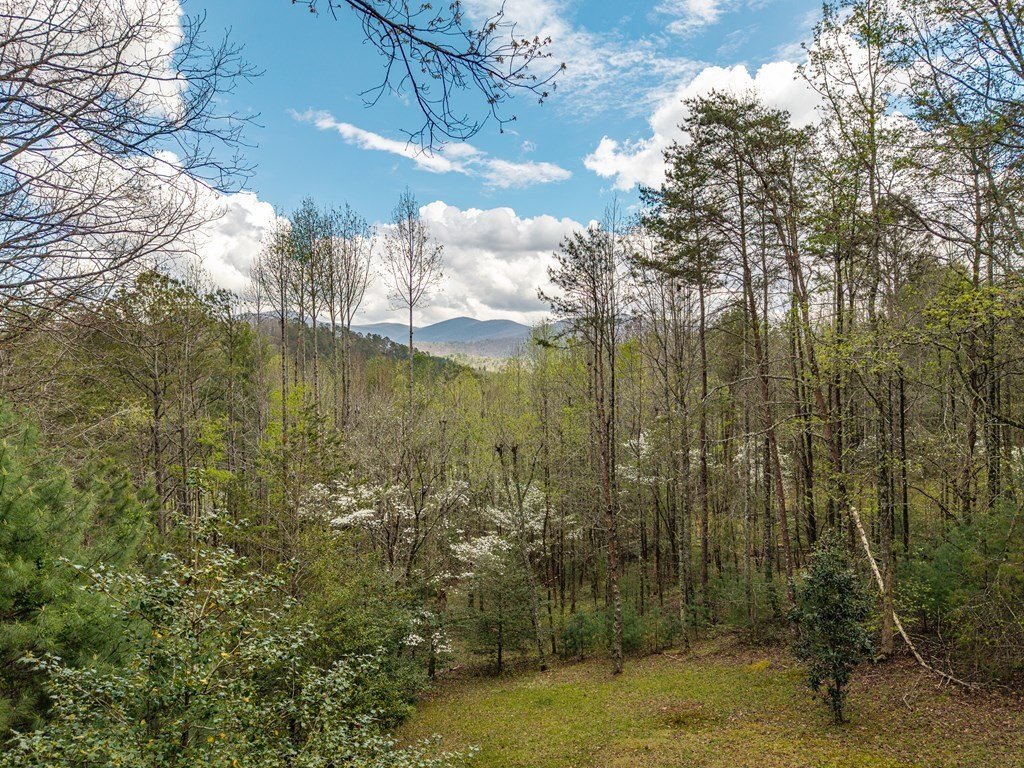Other 3BR 3BA - 238 Cedar Ridge Road, Cherry Log, GA