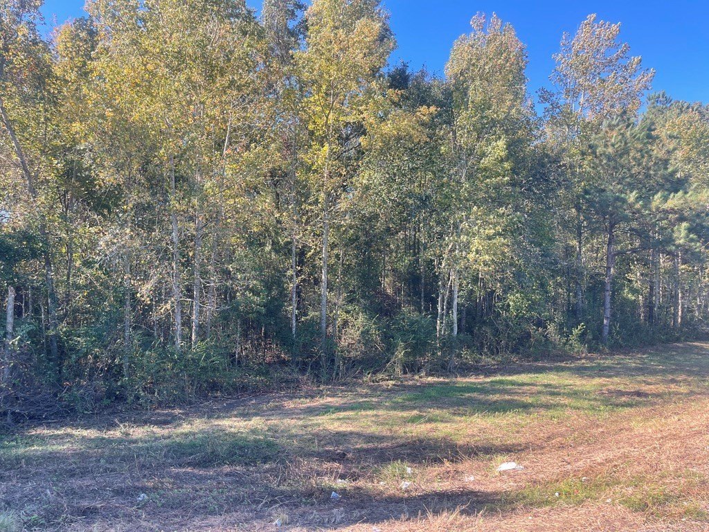 Single Family - 7.3 +- Acres Hwy 84, Ashford, AL